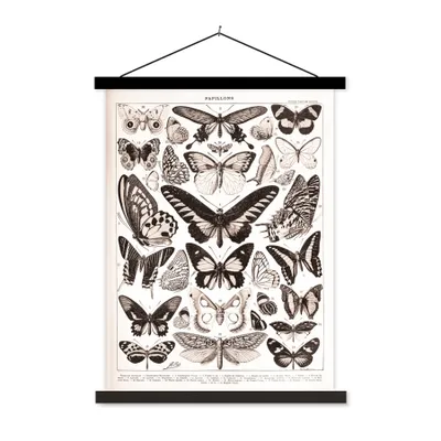 Produktbild von MuchoWow® Textilposter Schmetterling - Tiere - Schwarz - Weiß 90x120 cm mit schwarzem Rahmen - Dekoration