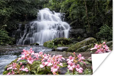 Produktbild von MuchoWow® Poster Rosa Löwenmäulchenblüten wachsen vor einem Wasserfall im Phu Hin Rong Kla-Nationalpark. 60x40 cm - Schlafzimmerdekoration