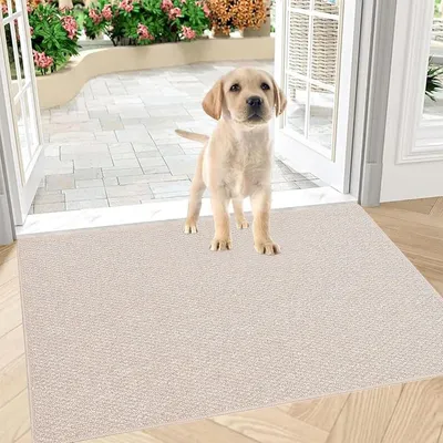 Zdjęcie produktu dla Wycieraczka - Antypoślizgowa - 60 x 90 cm - Beżowa