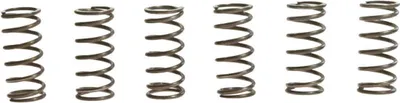 Immagine prodotto di Kit 6 molle frizione TRW MEF138-6 per Kawasaki