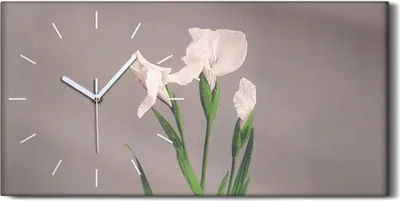 Produktbild von Wandkunst Leinwand Bild Uhr Geräuschlos 60x30 Gemälde Blumen Pflanzen Kunst - weiße Hände