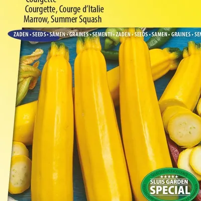 Image de Graines de courgettes Soleil F1 – Cultivez des courgettes jaunes pour une récolte délicieuse et nutritive dans votre potager.