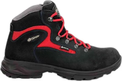 Produktbild von Wanderschuhe Chiruca 4302408 für Damen