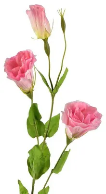 Productafbeelding van Viridis Kwiat Kunstbloem Eustoma, 70 cm, met rubberen coating