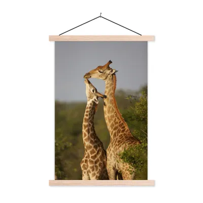 Produktbild von MuchoWow® Textilposter Giraffe - Baum - Kalb - Porträt 40x60 cm mit holzfarbenen Rahmen - Poster