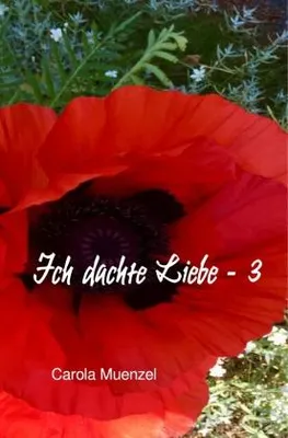 Produktbild von Ich dachte Liebe - 3