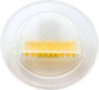 Produktbild von Bienenflucht mit Klappen