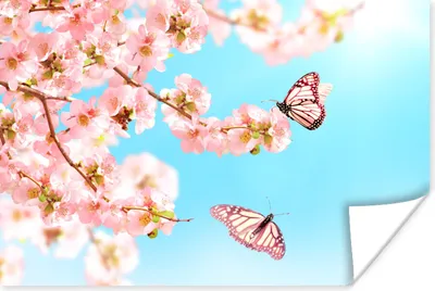 Produktbild von MuchoWow® Poster Schmetterlinge - Baum - Blumen 120x80 cm - Bilder