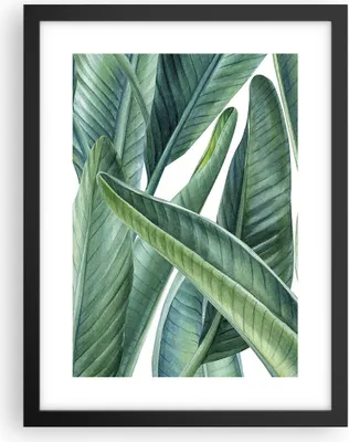 Produktbild von Gerahmtes Poster - Schwarzer Rahmen - Exotisch Blätter Grün - 30x40 cm - Wand Bild - Wanddeko - Wandbilder - Kunstposter - Wandposter - Bilderrahmen - Bilder - Kunstdruck - Wandbild - P2BPA30x40-4258
