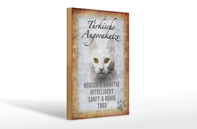Produktbild von Holzschild Spruch 20x30cm türkische Angorakatze Schild