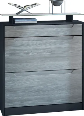 Produktbild von Vladon Schuhschrank Fiesta, Schwarz matt/Avola-Anthrazit - Schuhkipper für 16 Paar Schuhe (89 x 104 x 23 cm)