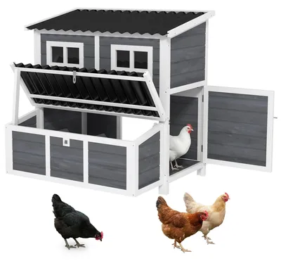 Immagine prodotto di Pollaio con nido per 3-4 galline, tetto impermeabile, realizzato in legno di abete, plastica, dimensioni 100 x 86 x 100 cm, colore grigio chiaro
