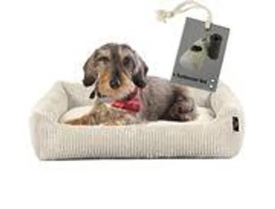 Produktbild von Rohrschneider Hundebett waschbar für kleine und mittelgroße Hunde mit Hundekissen Cord  inkl. Gassibeutel, Farbe:beige, Muster:Cordstoff breit