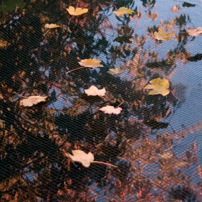 Image de Ubbink Filet anti-feuilles TEICHO PondNet 3 x 6 m