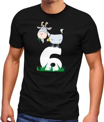 Produktbild von Herren T-Shirt Bock auf 6 Fun-Shirt Party Festival Anmach Spruch lustig Moonworks® schwarz L