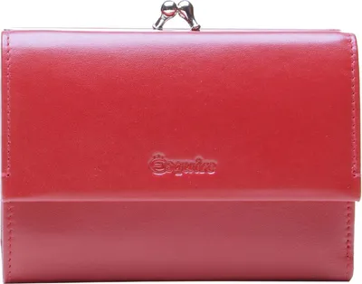 Produktbild von Esquire Silk Geldbörse RFID Schutz Leder 13 cm