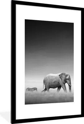 Produktbild von MuchoWow® Gerahmtes Poster Elefant - Tiere - Landschaft - Schwarz und weiß - Zebra 60x90 cm - Poster mit Schwarzem Bilderrahmen Wandposter Rahmen Foto Bilder - Dekoration - Wandposter Wohnzimmer - Hochwertig