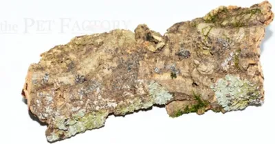Produktbild von Deko-Kork HIDE L 10-20 cm D bis 10 cm