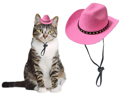 Immagine prodotto di Cappello da cowboy per cani, cappello da cowboy per gatti, mini cappello da cowboy per cani e gatti