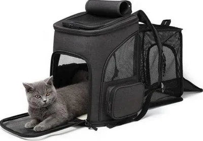 Immagine prodotto di Trasportino per gatti e cani - 42 x 33 x 27 cm - Portata: 8 kg - Borsa da viaggio per gatti e cani - Zaino per gatti e cani - Nero