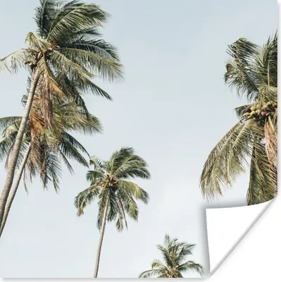 Produktbild von MuchoWow® Poster Palmen - Sommer - Tropisch 75x75 cm - Wand Dekoration