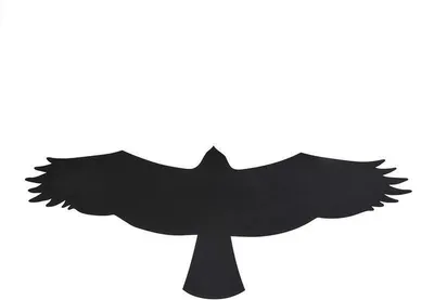 Image de Autocollant de fenêtre oiseau " Buse " 140mm 5 pièces