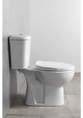 Produktbild von MANUEL Kombi-WC, Abgang senkrecht, weiß