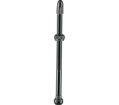 Zdjęcie produktu dla Zawór Schwalbe Tl 2-pack 100 Mm