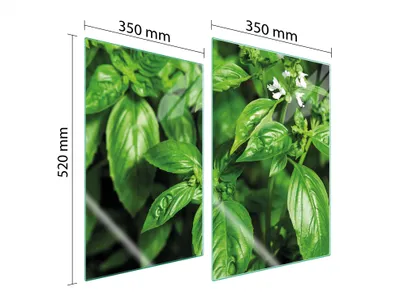 Produktbild von Herdabdeckplatten 2 teilig 35x52 Glaskeramikkochfeld Abdeckung Glas Schneidebrett Laub Grün