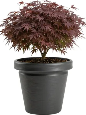 Produktbild von HowHomely | Blumenkübel - Blumentopf - anthrazit - 40x46 cm - aus Recyclingmaterial - Outdoor - Rillentopf