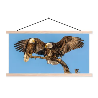 Produktbild von MuchoWow® Textilposter Vogel - Äste - Adler - Raubvögel - Luft 60x30 cm mit holzfarbenen Rahmen - Dekoration