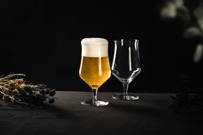 Produktbild von SCHOTT ZWIESEL 130013, Bierglas, 300 ml, Transparent, Glas, 8,8 cm, 165 mm