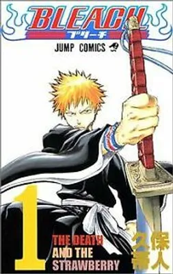 Obrázek produktu pro Bleach, Volume 1 (Japanese Edition) Book