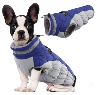 Produktbild von Hundemantel Winter Winddicht Geschirr Reflektierend Blau M