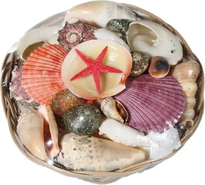 Produktbild von Muscheln & Seestern im Korb, ca. 15 x 5 cm, ca. 390 g