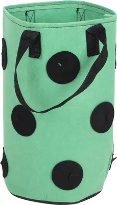 Image de 12 trous Sac de plantation de fraises avec poignées Sac de culture en feutre portable pour le jardinVert 20x35cm