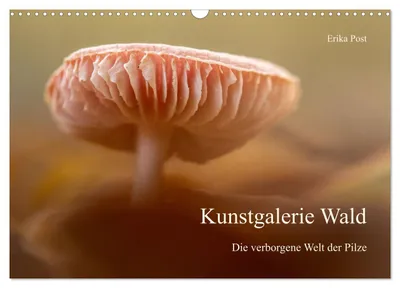 Produktbild von Kunstgalerie Wald - die verborgene Welt der Pilze (Wandkalender 2027 DIN A3 quer), CALVENDO Monatskalender