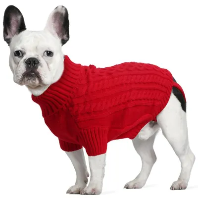 Immagine prodotto di Maglione per cani con apertura per il collare, colore rosso