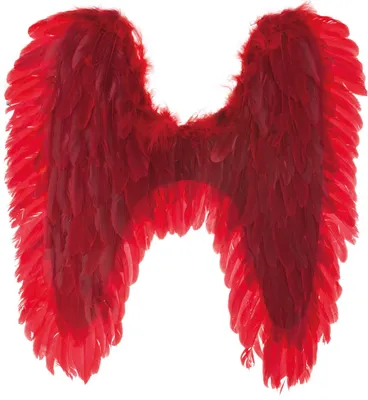 Produktbild von Engelsflügel 70 x 65 cm | Federn Rot