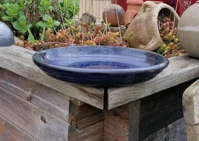Produktbild von Untersetzer/Teller/Vogeltränke ø 23 cm aus frostbeständigem blauen Steinzeug