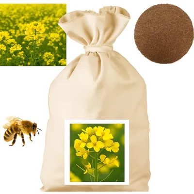 Produktbild von Senf als Zwischenfrucht, Saatgut, 1 kg, Agro Bracia