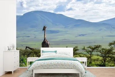Produktbild von MuchoWow® Fototapete für Wohnzimmer oder Schlafzimmer Wandtapete Vinyl Motivtapete Giraffen zwischen den Bäumen im Ngorongoro-Krater - 390x260 cm - Papiertapete