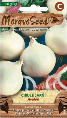 Zdjęcie produktu dla Cebula dymka AVALON, biała 60833