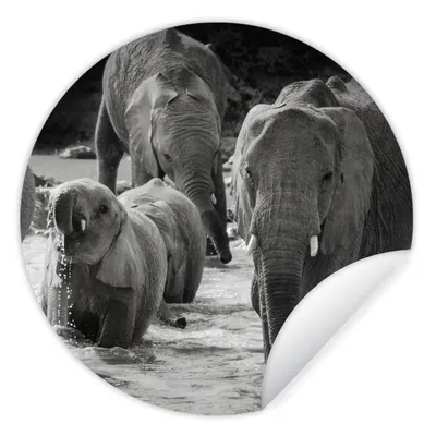 Produktbild von MuchoWow® Runde Wandtattoo - Wandsticker Tapete Aufkleber Elefant - Tiere - Wasser - Schwarz und weiß Ø 100 cm Selbstklebend und Repositionierbar - Wandaufkleber - Kreis - Tapetenkreis - Wandbild rund - Schlafzimmerdekoration - Wanddeko - runde Tapete - Kunst für zu Hause