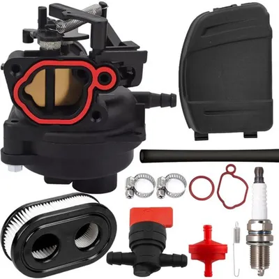 Vergaser für Rasenmäher - Austauschmodell - Qualität - Geeignet für Troy-Bilt - 163cc 140cc