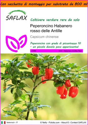 Immagine prodotto di SAFLAX Garden in the bag - Peperoncino Habanero rosso delle Antille - 10 semi - Capsicum