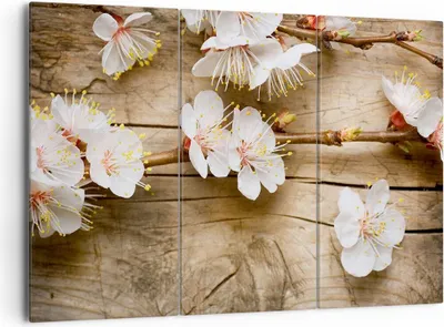Produktbild von Bild auf Leinwand - Leinwandbild - Blume Stängel - 165x110cm - Wand Bild - Wanddeko - Wandbilder - Leinwanddruck - Bilder - Kunstdruck - Wanddekoration - Leinwand bilder - Wandkunst - CE165x110-3537
