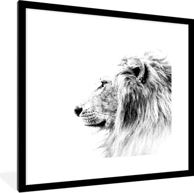 Produktbild von MuchoWow® Gerahmtes Poster Löwe - Schwarz - Weiß - Tiere 40x40 cm - Poster mit Schwarzem Bilderrahmen Wandposter Rahmen Foto Bilder - Poster - Plakat im Rahmen