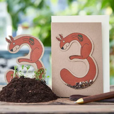 Productafbeelding van Geburtstagskarte Drei met Saatstecker Pflanzbare wenskaart met bloemensamen