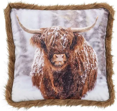 Image de Housse de coussin Snow Done